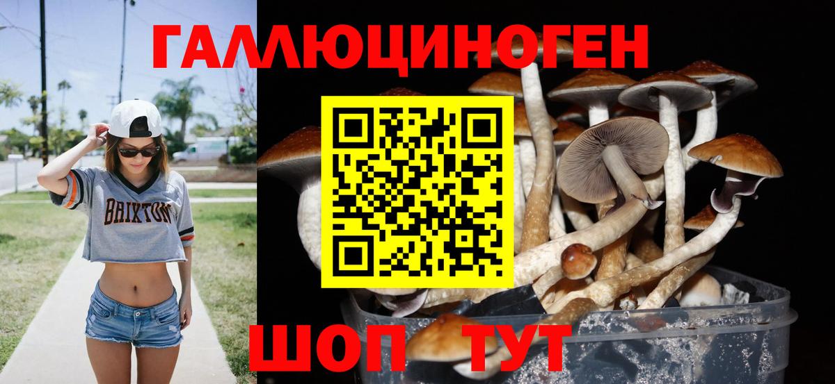 Миасс  Псилоцибиновые грибы MAGIC MUSHROOMS  Вход с VPN 